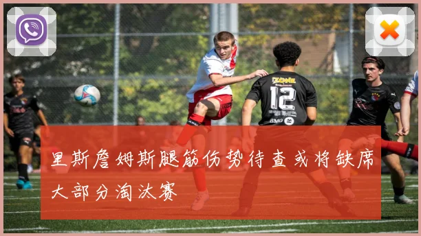 里斯詹姆斯腿筋伤势待查或将缺席大部分淘汰赛